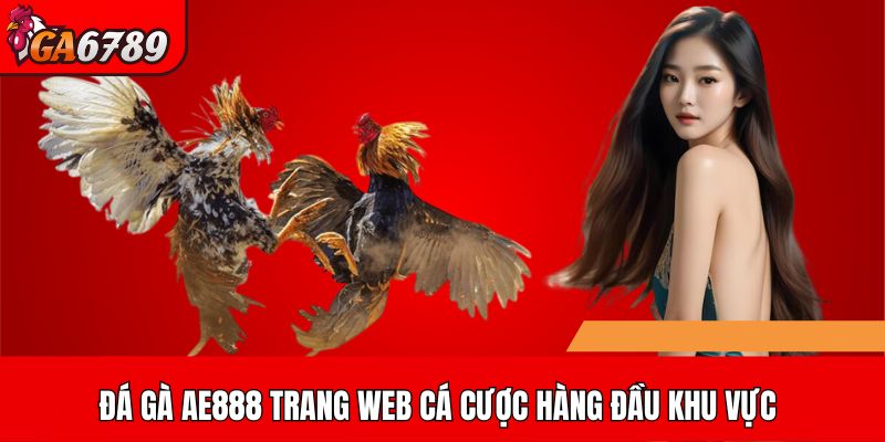 Đá gà AE888 trang web cá cược hàng đầu khu vực