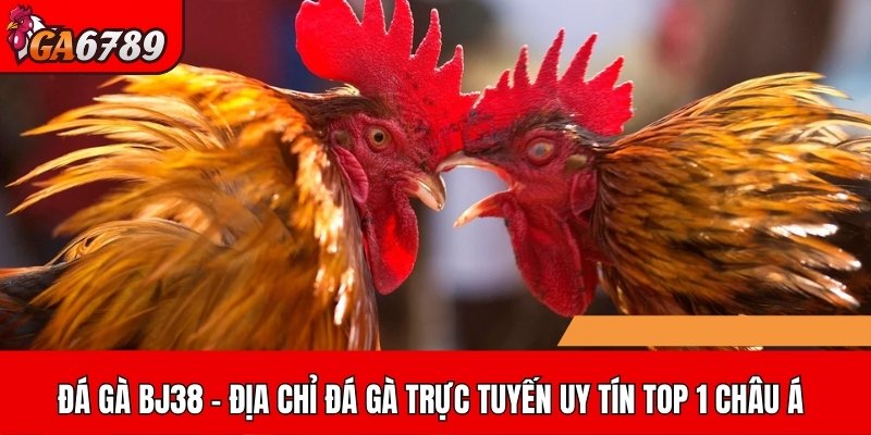 đá gà BJ38