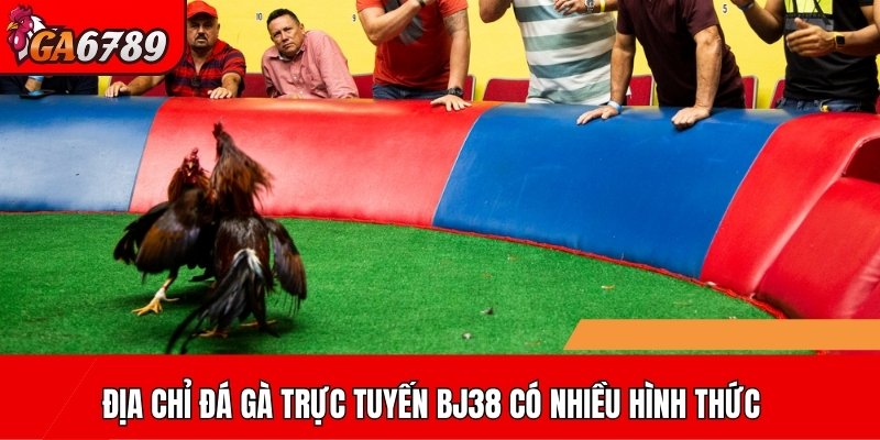 Địa chỉ đá gà trực tuyến BJ38 có nhiều hình thức khác nhau, hấp dẫn
